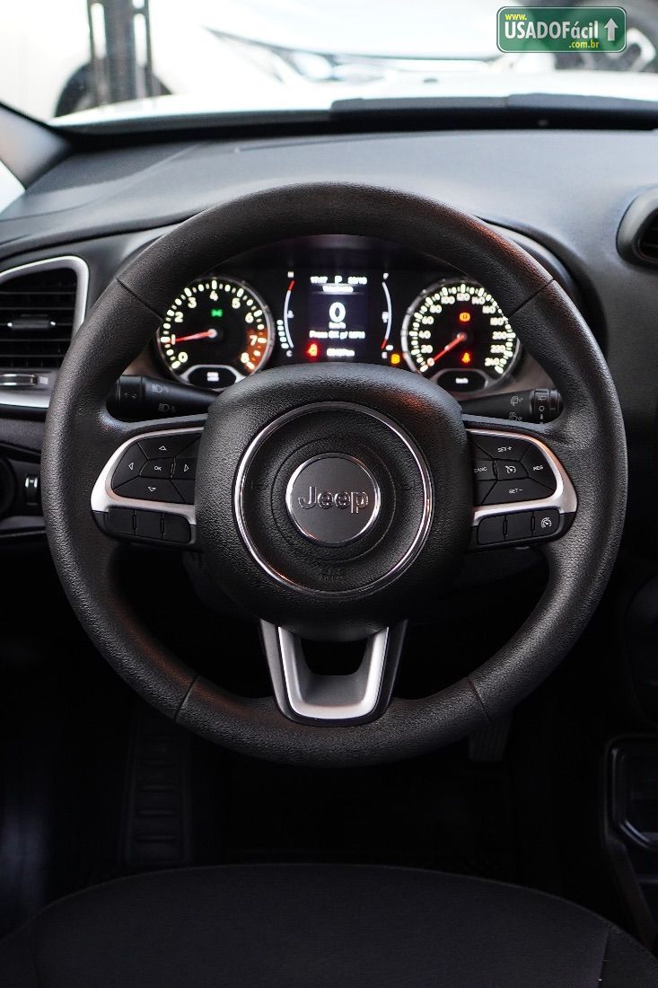 Jeep Renegade 1.8 4x2 Automático Flex 2019/2019 — foto 11 de 12
