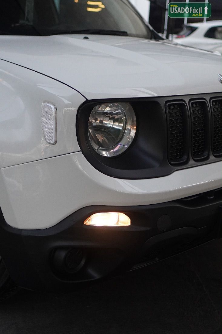 Jeep Renegade 1.8 4x2 Automático Flex 2019/2019 — foto 5 de 12