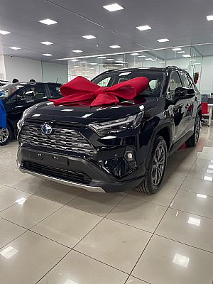 RAV4 SX Connect 4x4 Automático Hybrid