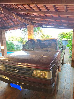 D-20 brasinca andaluz