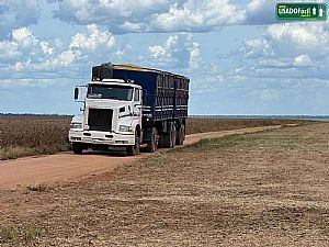 Volvo Nl12 360 Engatado 1994/1994 em Primavera do Leste - MT
