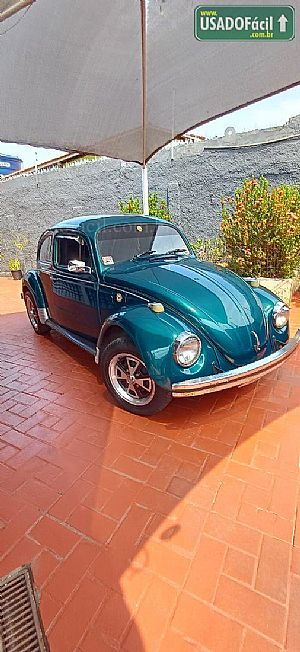 Fusca 1300