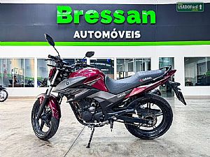 YS 250 Fazer BlueFlex