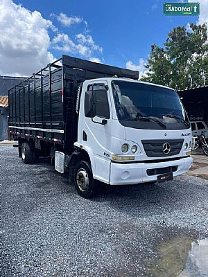 Mercedes  Accelo 815 Boiadeiro