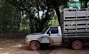 F-1000 S. S. Diesel boiadeira