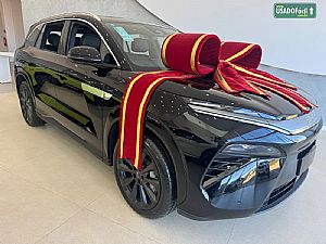 BYD ATTO 8 7 LUGARES