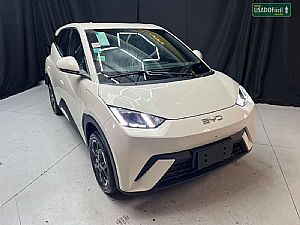 BYD Dolphin mini gs Elétrico
