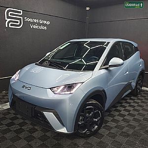 BYD Dolphin Mini GS