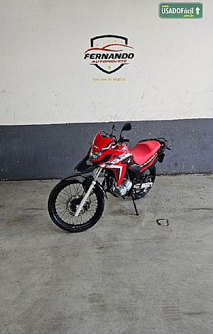 XRE 300 Rally Flex