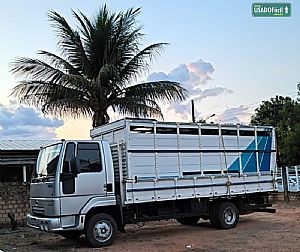 Cargo 816 E Turbo boiadeiro