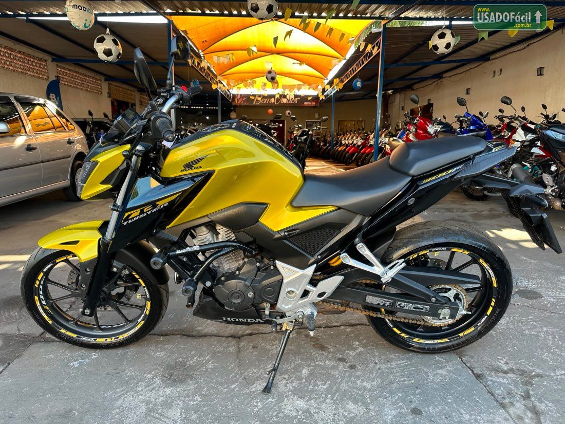 Honda CB 300F Twister Flex 2024/2024 — foto 6 de 8