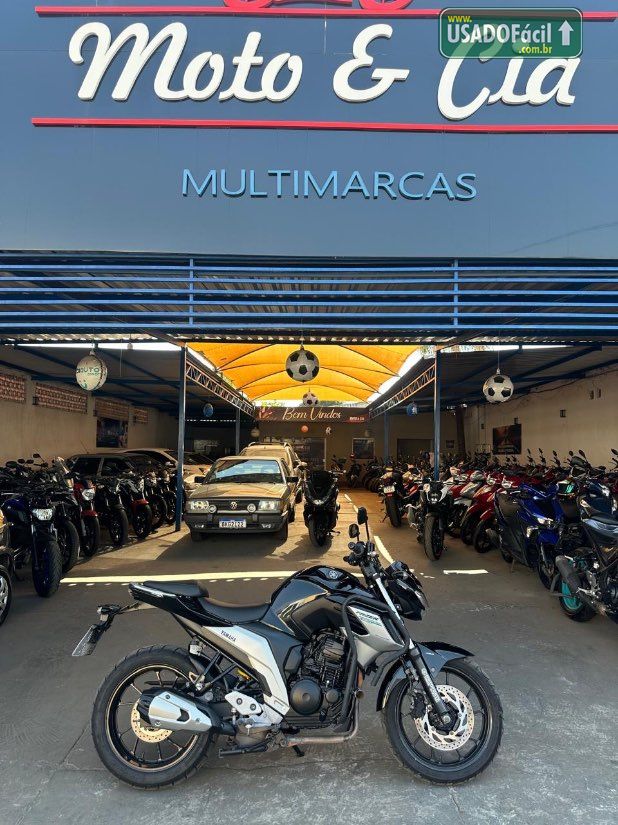 Yamaha FZ25 250 FAZER FLEX