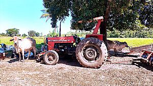 Trator Massey 290