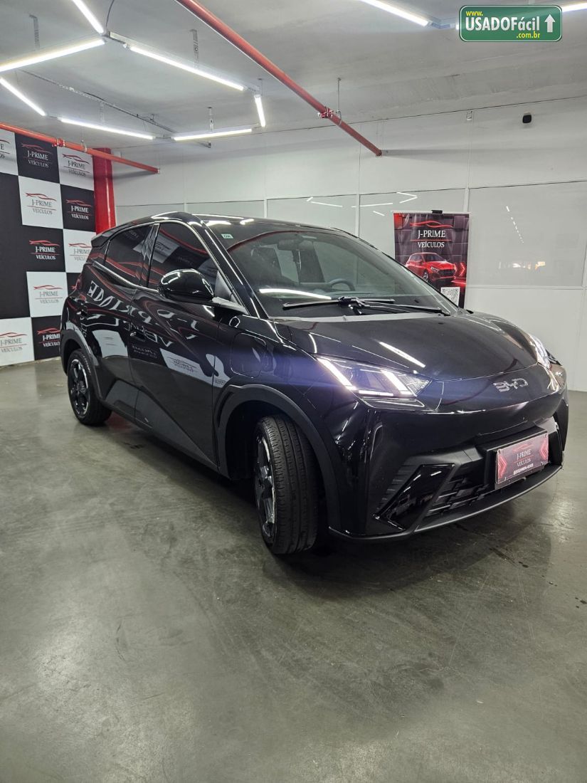 BYD BYD Dolphin Mini Elétrico 2024/2025 — foto 3 de 14