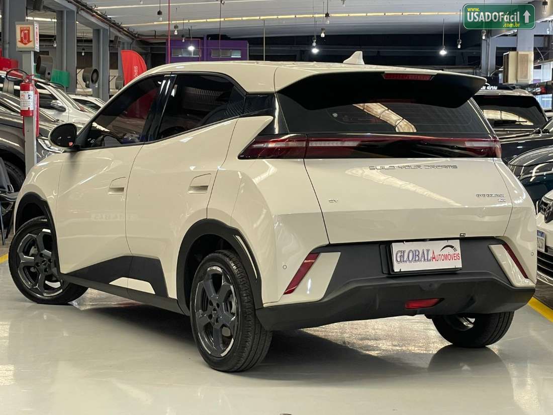 BYD BYD Dolphin Mini Elétrico 2024/2025 — foto 2 de 11
