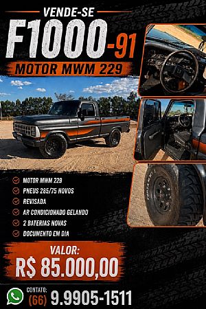 F-1000 S. S. Diesel 1990/1990 em Colider - MT