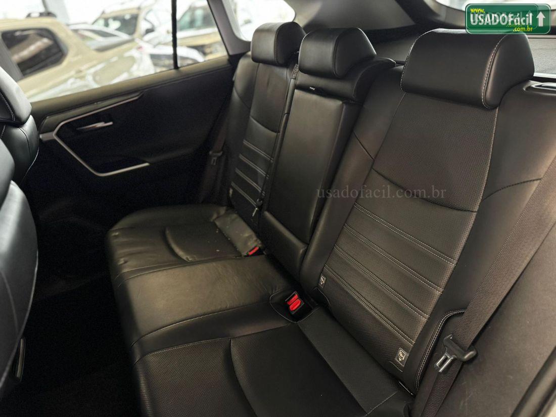TOYOTA RAV4 SX 4x4 Hybrid Automático 2019/2019 — foto 12 de 12