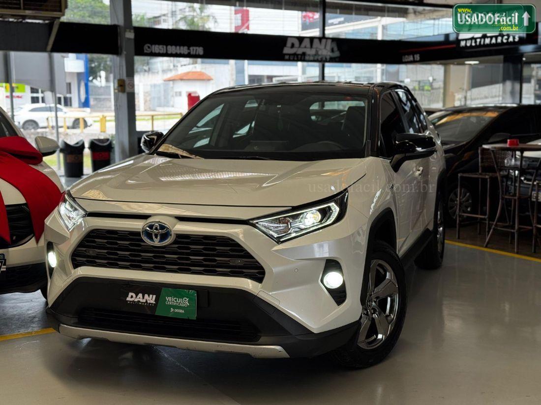TOYOTA RAV4 SX 4x4 Hybrid Automático 2019/2019 — foto 2 de 12