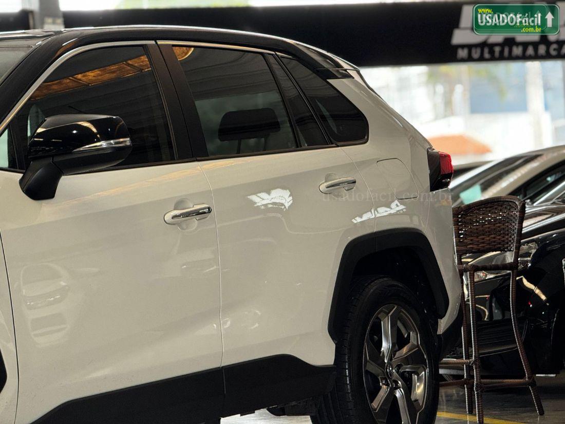 TOYOTA RAV4 SX 4x4 Hybrid Automático 2019/2019 — foto 7 de 12