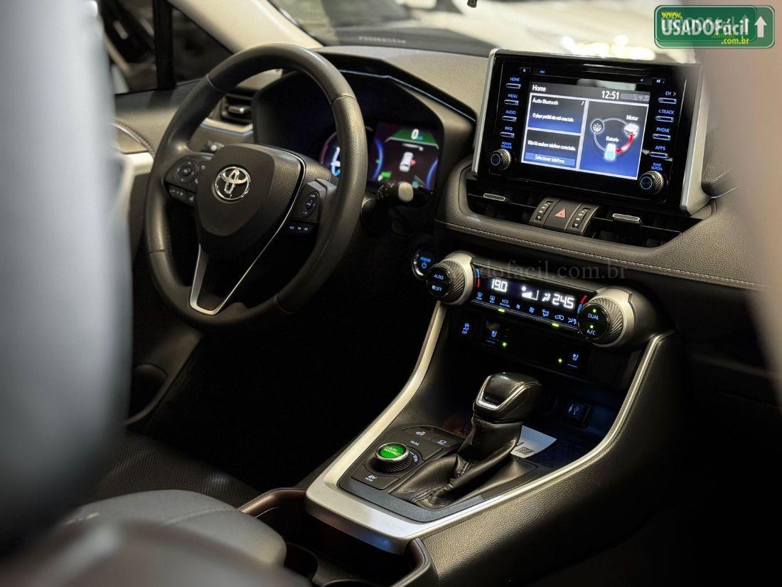 TOYOTA RAV4 SX 4x4 Hybrid Automático 2019/2019 — foto 9 de 12
