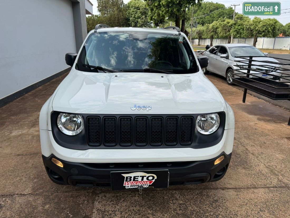 Jeep Renegade 1.8 4x2 Automático Flex 2019/2020 — foto 13 de 14