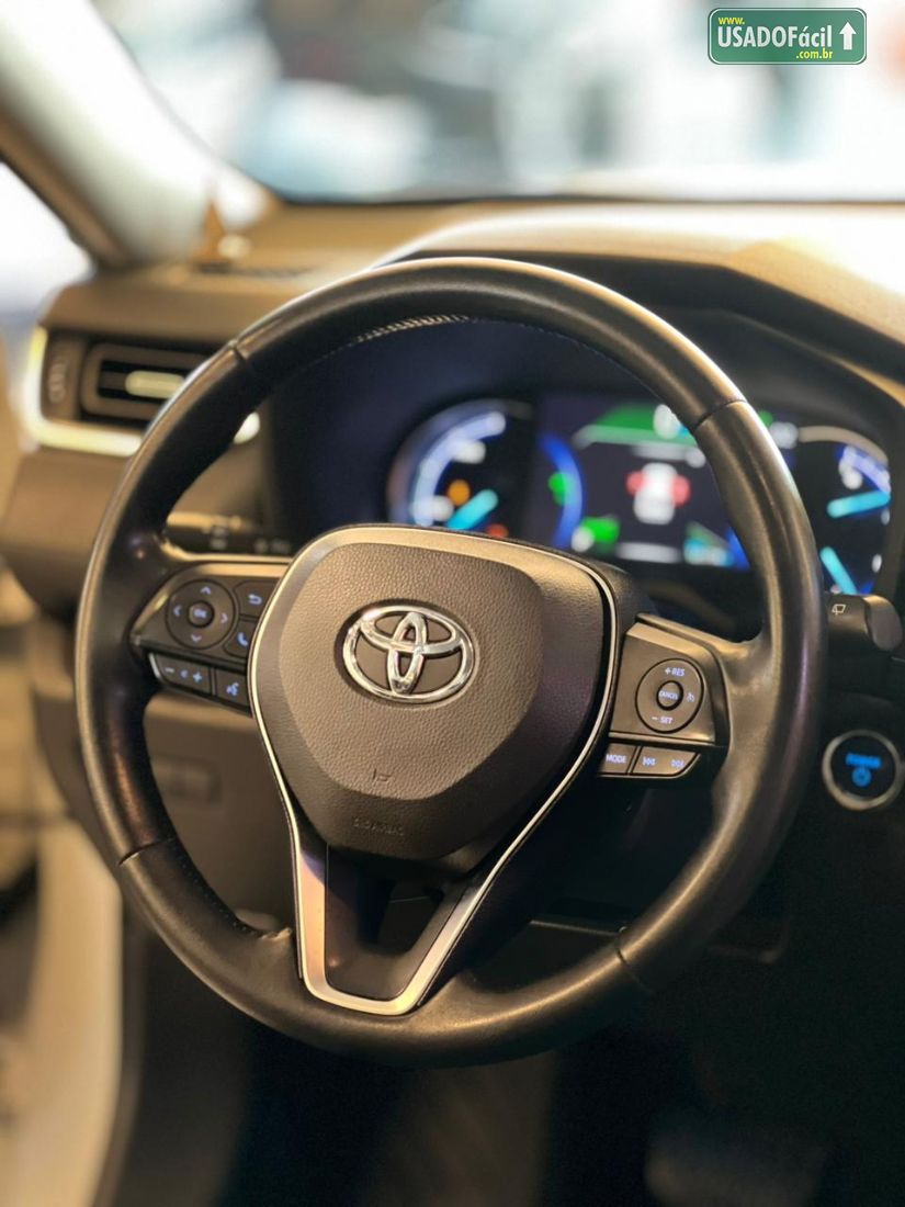 Toyota RAV4 2.5 S 4x4 Automático Híbrido 2019/2019 — foto 14 de 19