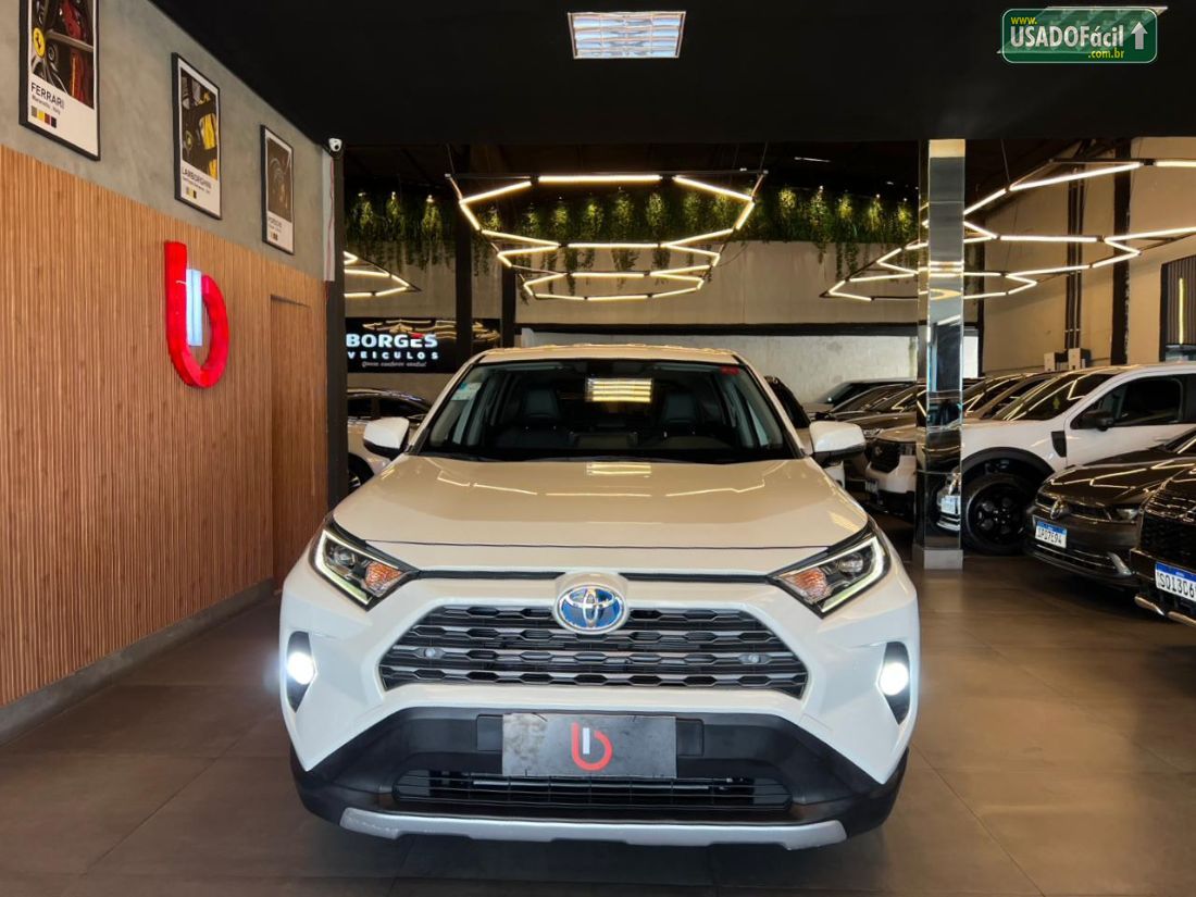 Toyota RAV4 2.5 S 4x4 Automático Híbrido 2019/2019 — foto 2 de 19