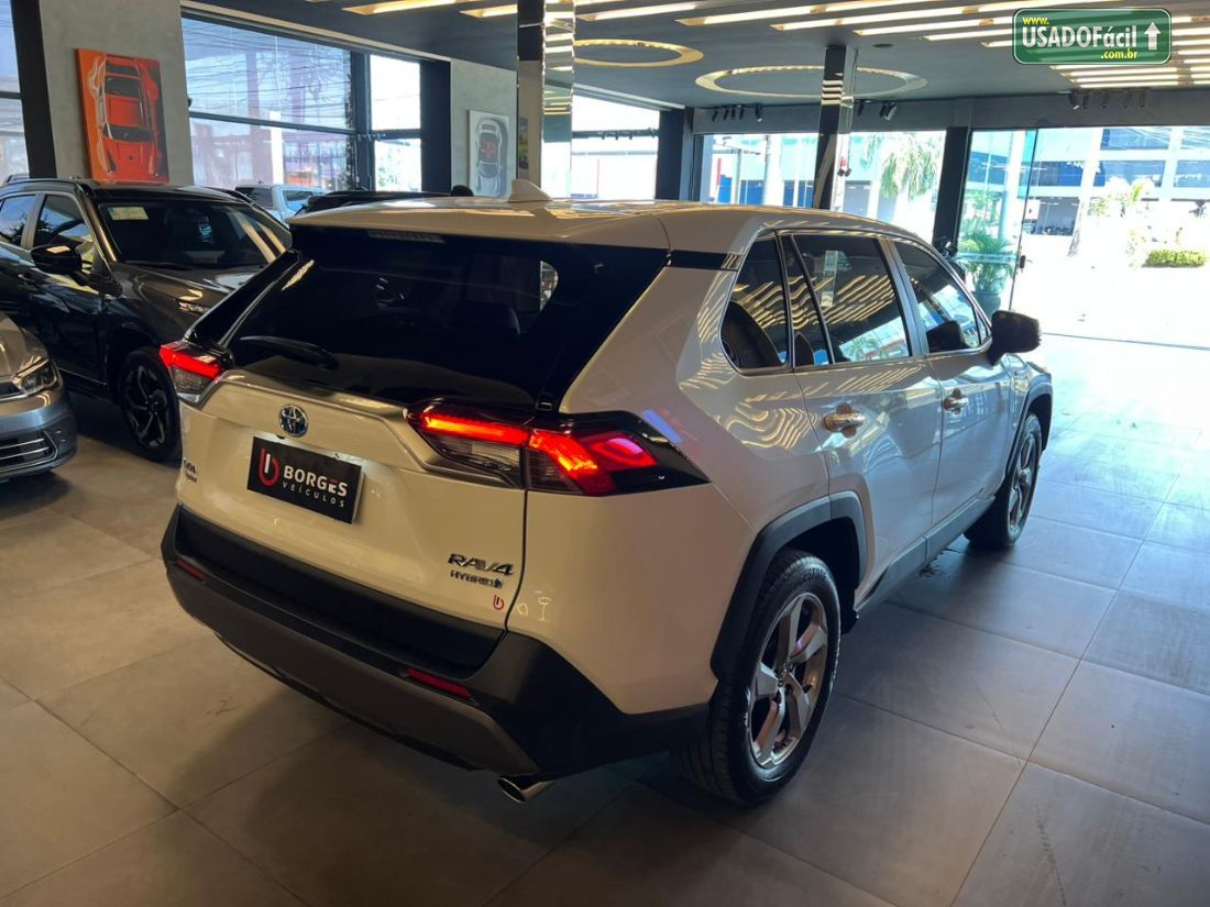 Toyota RAV4 2.5 S 4x4 Automático Híbrido 2019/2019 — foto 5 de 19
