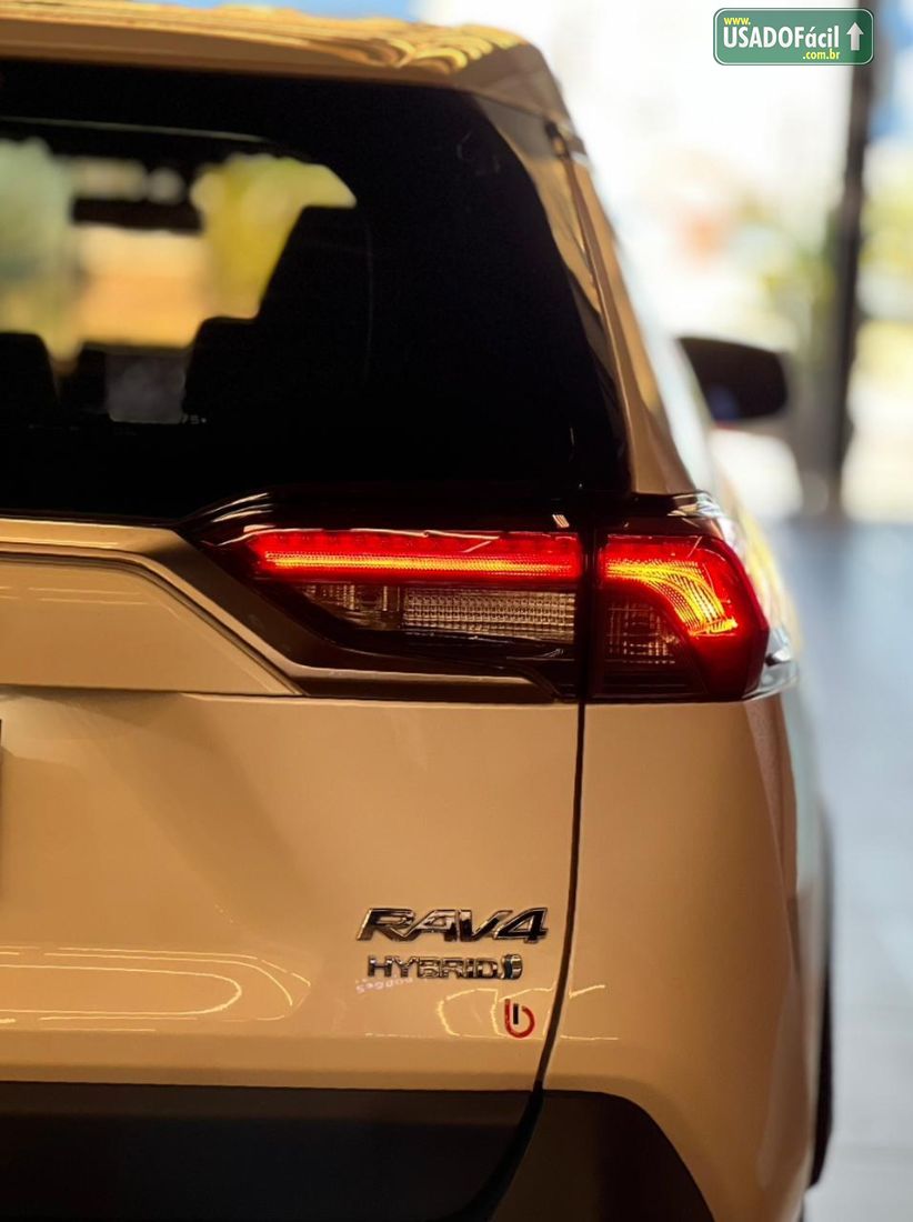 Toyota RAV4 2.5 S 4x4 Automático Híbrido 2019/2019 — foto 6 de 19
