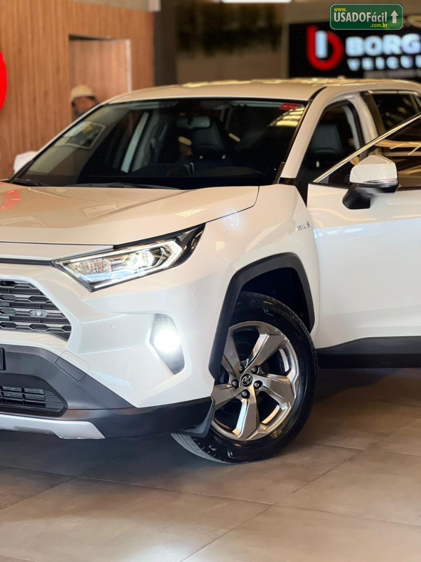 Toyota RAV4 2.5 S 4x4 Automático Híbrido 2019/2019 — foto 7 de 19