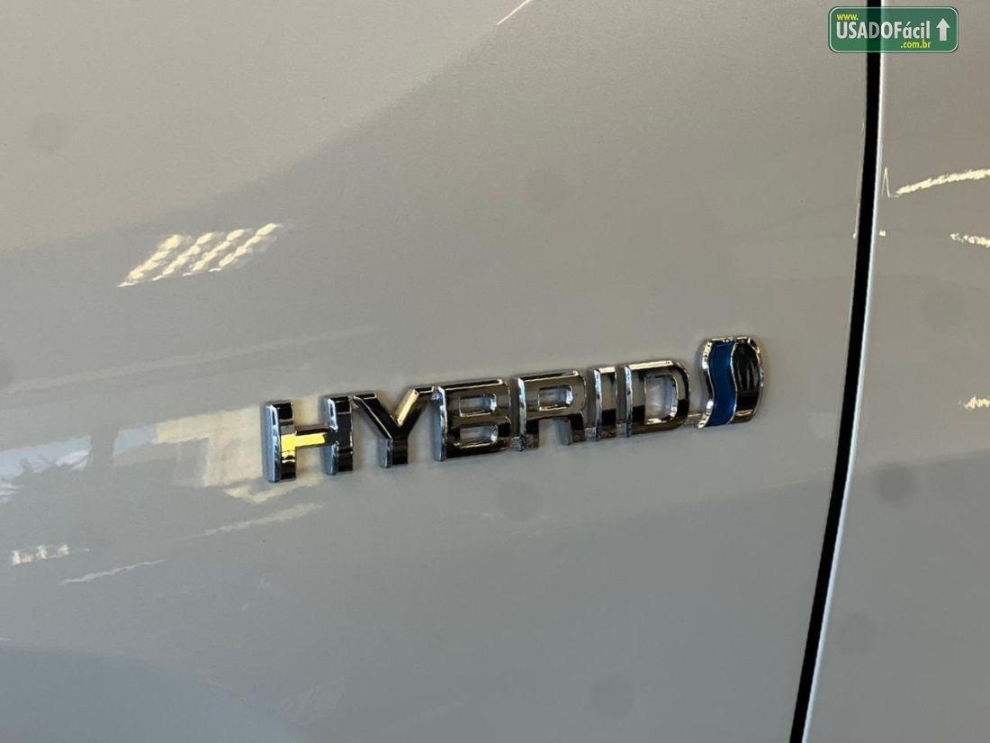 Toyota RAV4 2.5 S 4x4 Automático Híbrido 2019/2019 — foto 8 de 19