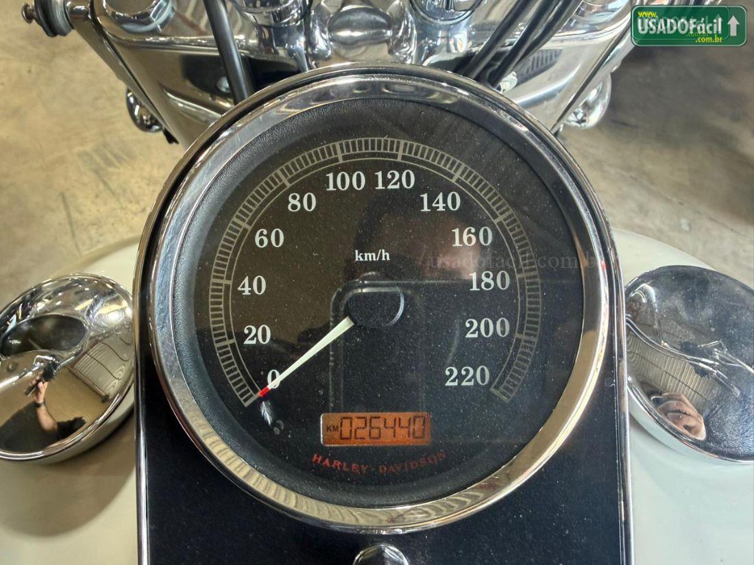 HARLEY-DAVIDSON SOFTAIL DeLuxe FLSTN 2011/2012 — foto 6 de 14