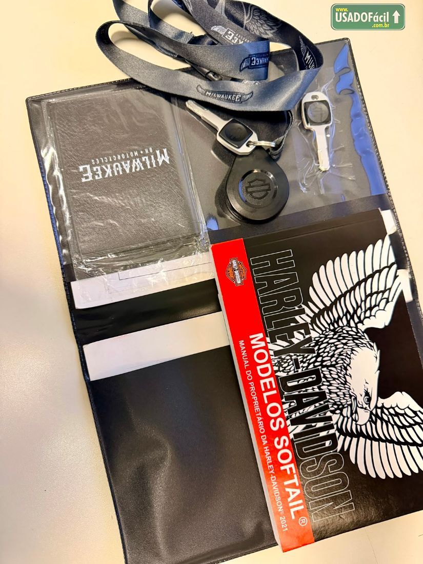 HARLEY-DAVIDSON Harley Davidson SOFTAIL SPORT GLIDE FLSB 2021/2021 — foto 8 de 13