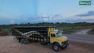 MERCEDES-BENZ Mercedes L-1516 6x2 boiadeiro
