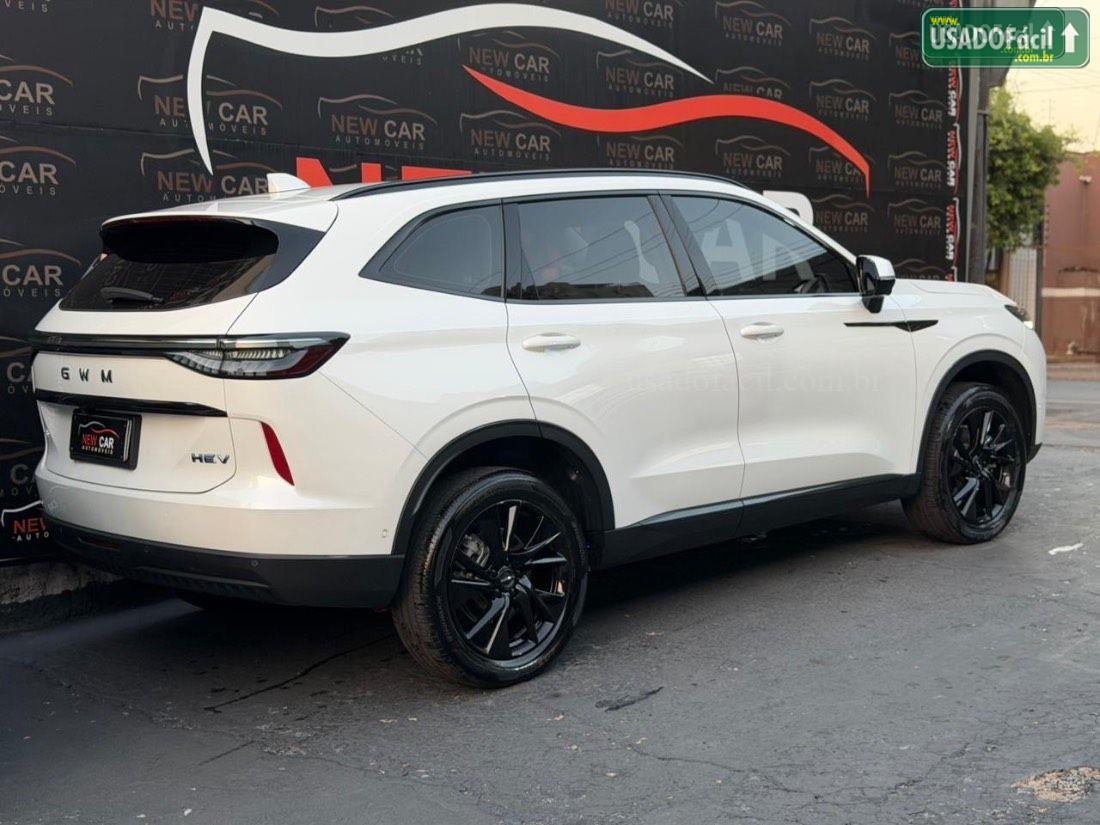 GWM Haval H6 HEV Híbrido 2025/2025 — foto 14 de 23