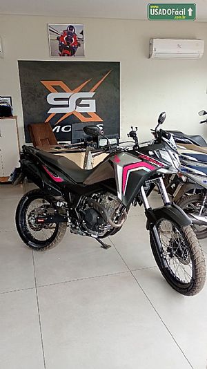 Honda Sahara 300 ABS Flex