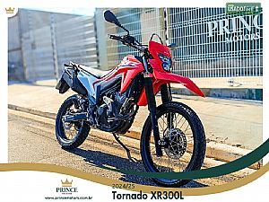 Honda XR 300L Tornado Flex