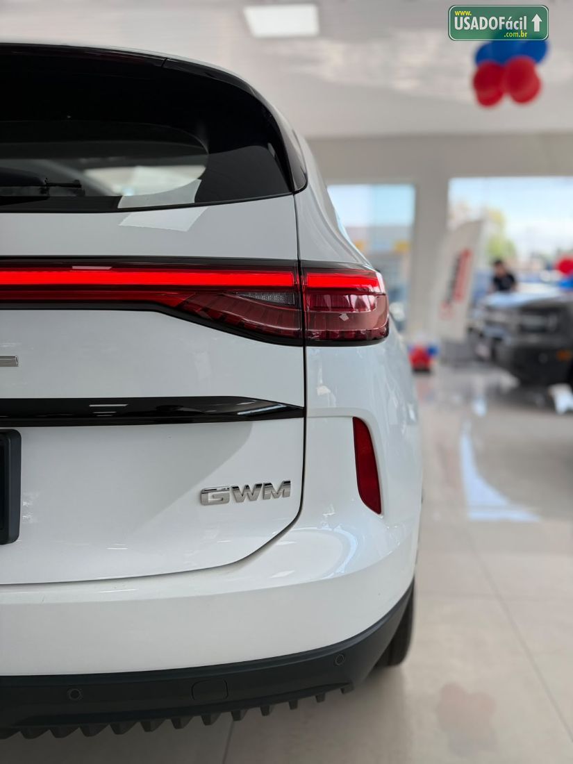 GWM Haval H6 Premium PHEV AWD Híbrido 2024/2025 — foto 7 de 16