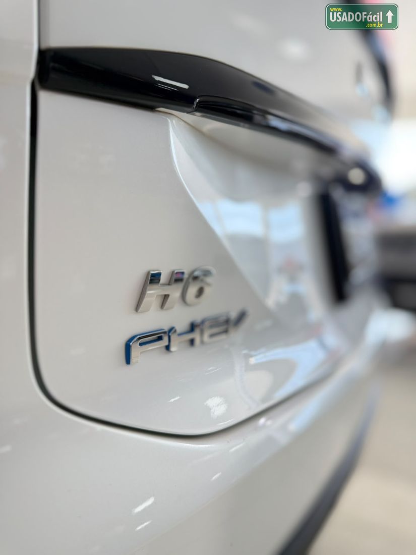 GWM Haval H6 Premium PHEV AWD Híbrido 2024/2025 — foto 8 de 16