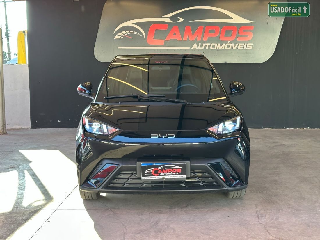 BYD BYD Dolphin Mini Elétrico 2024/2025 — foto 2 de 11