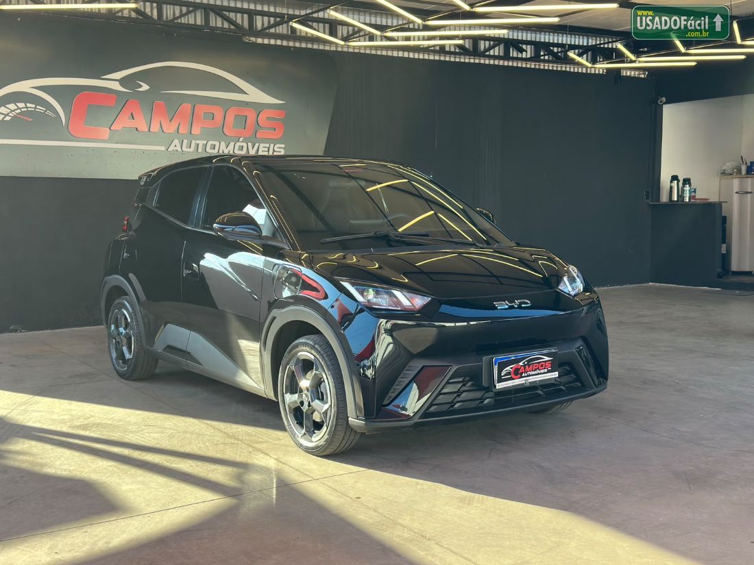 BYD BYD Dolphin Mini Elétrico 2024/2025 — foto 3 de 11