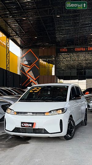 BYD BYD D1 EV Elétrico