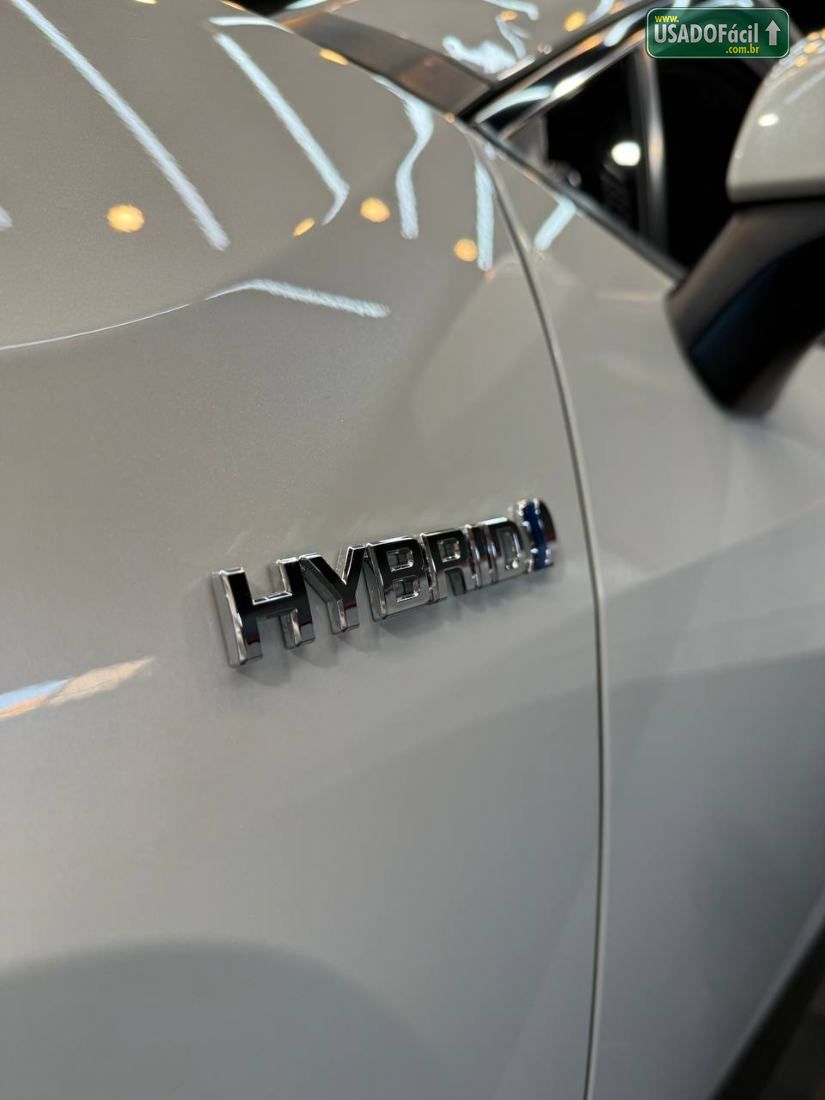 Toyota RAV4 2.5 S 4x4 Automático Híbrido 2019/2019 — foto 6 de 16