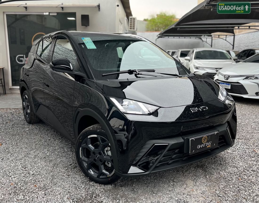 BYD BYD Dolphin Mini Elétrico 2026/2027 — foto 3 de 24