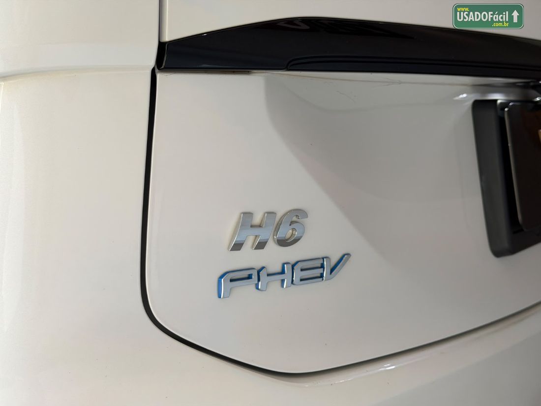 GWM Haval H6 Premium PHEV AWD Híbrido 2024/2025 — foto 6 de 20