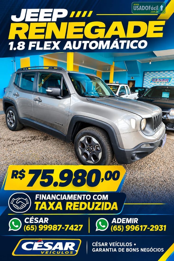 Jeep Renegade 1.8 4x2 Automático Flex