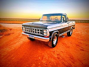 Ford F-1000 Ano 1983 1983/1984 em Campo Verde - MT