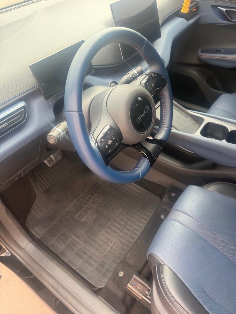 BYD BYD Dolphin EV Elétrico 2024/2025 — foto 4 de 11