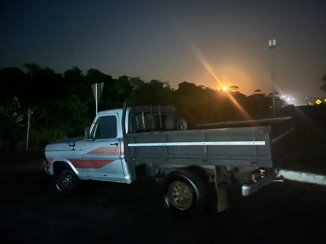 Ford F 1000 1981/1981 — foto 2 de 3