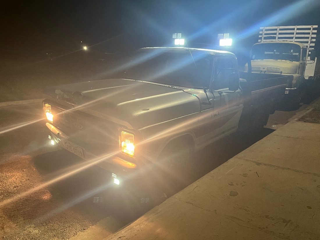 Ford F 1000 1981/1981 — foto 3 de 3